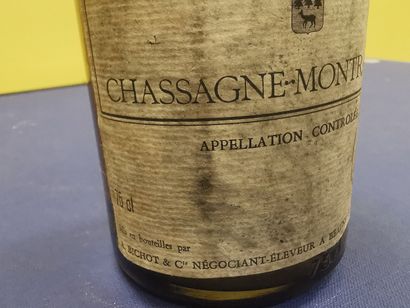 Burgundy 
Chassagne Montrachet
Maison Bichot...