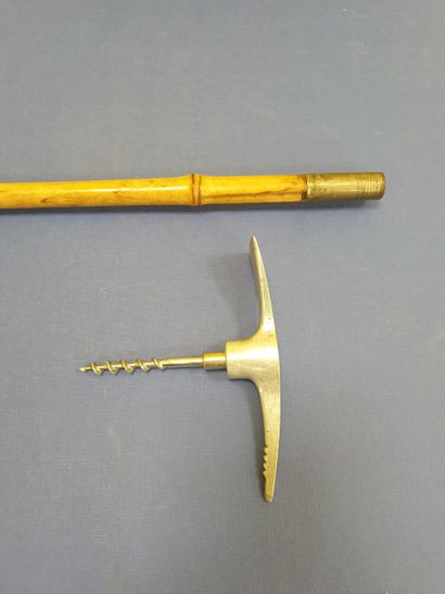 A corkscrew rod