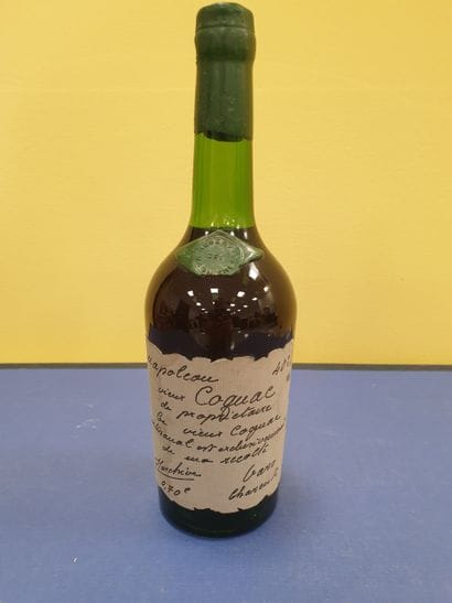 1 bottle of Vieux Cognac Napoléon
Domaine...