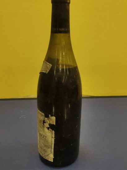 Burgundy 
Chassagne Montrachet
Maison Bichot...