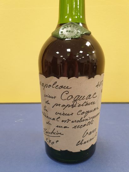 1 bottle of Vieux Cognac Napoléon
Domaine...