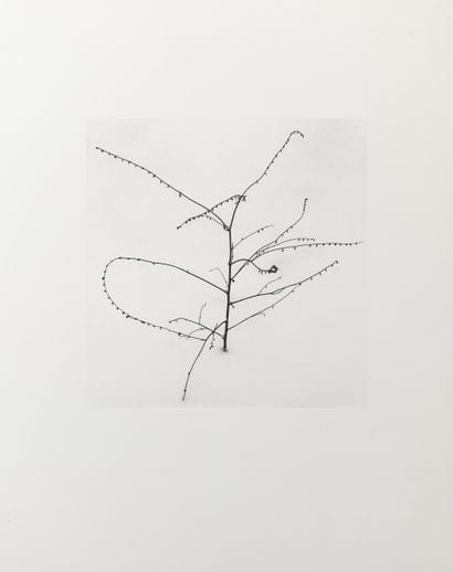 Michael KENNA (Born in 1953)
Young Nandaro...
