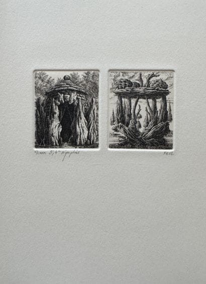 François HOUTIN (Born in 1950)
Nymphée, 2002
Etching...