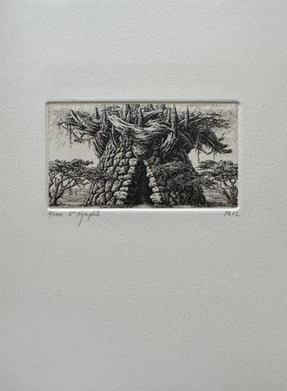 François HOUTIN (Born in 1950)
Nymphée, 2002
Etching...