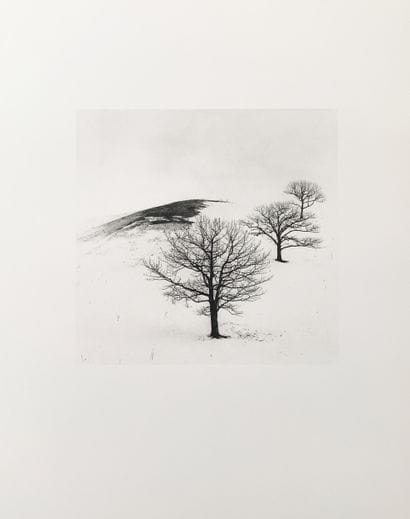 Michael KENNA (Born in 1953)
Three Trees...