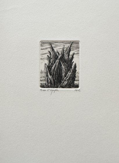 François HOUTIN (Born in 1950)
Nymphée, 2002
Etching...