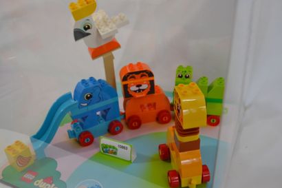 Vitrine de magasin mettant en avant des animaux...