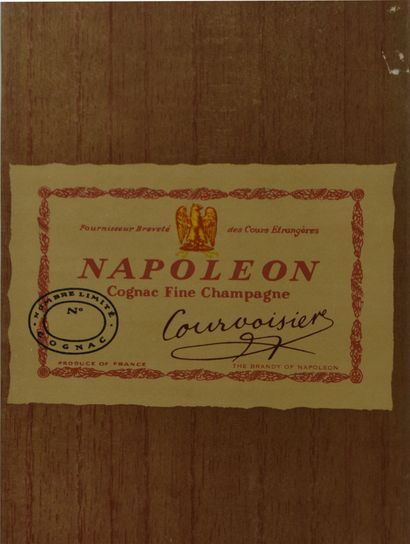 Bouteille de NAPOLEON Cognac Fine Champagne...