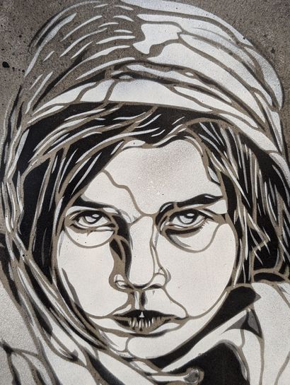 Christian GUEMY aka C215 (born 1973)
