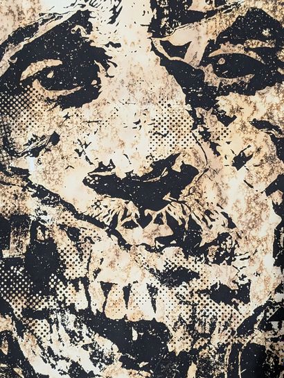 Alexandre FARTO aka VHILS (Portugais, né...