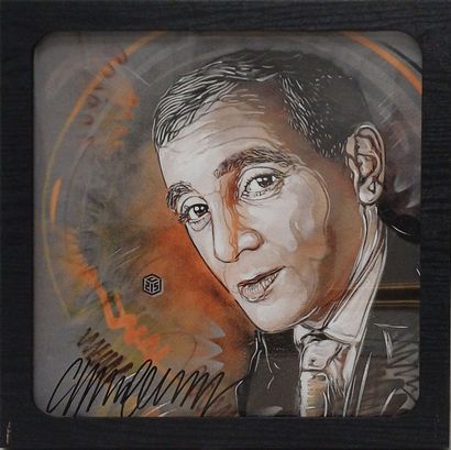 Christian GUEMY aka C215 (born 1973)
