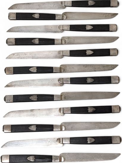 Suite of 12 fruit knives with solid silver...