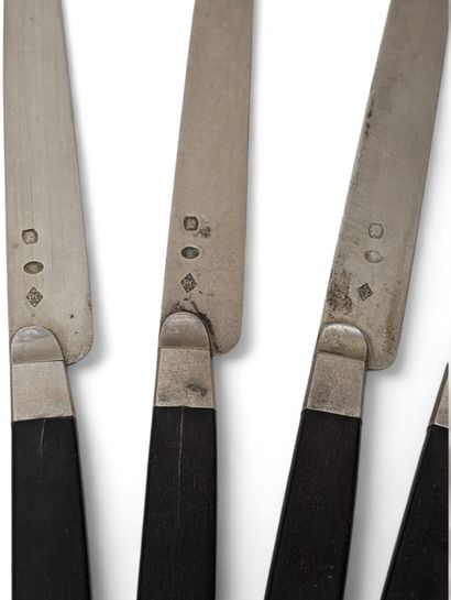Suite of 12 fruit knives with solid silver...