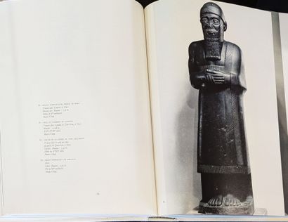 CITADELLES & MAZENOD
L'art antique du Proche-Orient
1...