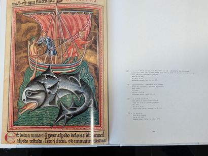 CITADELLES & MAZENOD
L'art roman
1 volume...