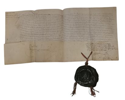 Lettres royaux du roi Louis XIII : édit portant...