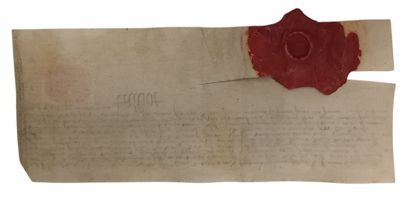 « Nous Jehan conte de Scharsbury et de Wecfford,...