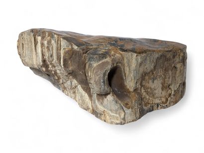 [MINERAUX] [FOSSILES]
Bloc de bois pétrifié...