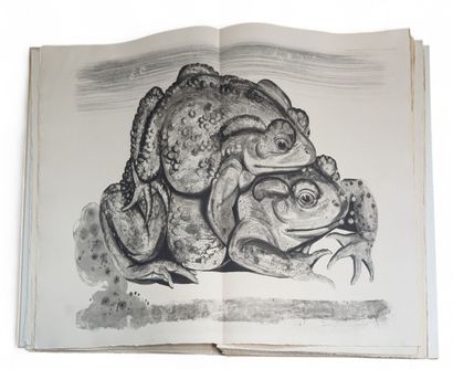 ROSTAND, Jean - TREMOIS, Pierre-Yves. 
Bestiaire...