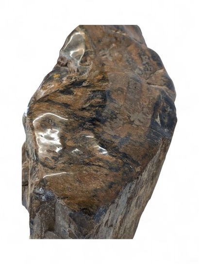 [MINERAUX] [FOSSILES]
Bloc de bois pétrifié...