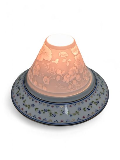 HAVILAND - LIMOGES - Modèle 