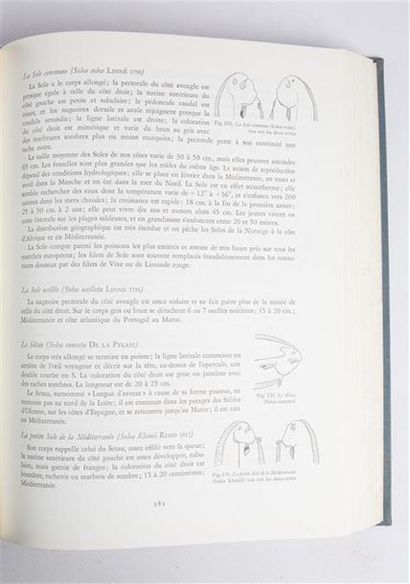 COLLECTIF - Le grand livre de la mer et des...