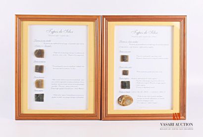 Types de silex : deux encadrements comportant...