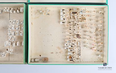 Ensemble de trois boites d'entomologie contenant...