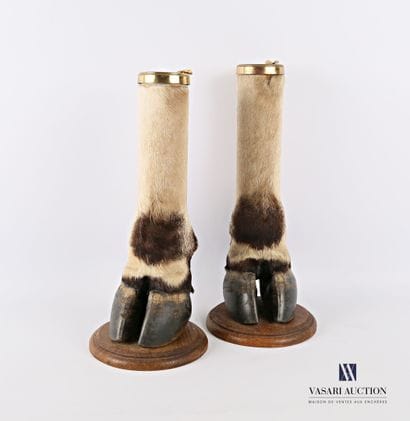 Paire de pattes d'éland de Derby (Taurotragus...