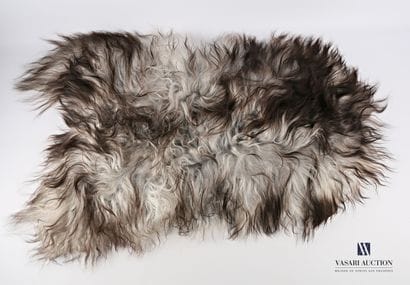 Peau de mouton islandais (Ovis aries, non...