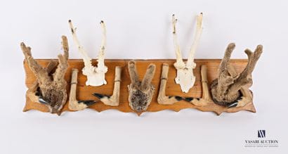 Panneau constitué de massacres et pates de...