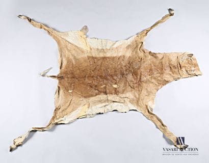 Peau d'impala (Aepyceros melampus, non réglementé),...