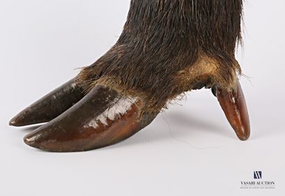 Pied de sanglier surmonté d'un cendrier en...
