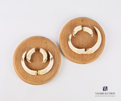 Lot de deux médaillons en bois présentant...