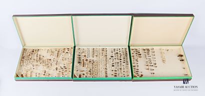 Ensemble de trois boites d'entomologie, contenant...