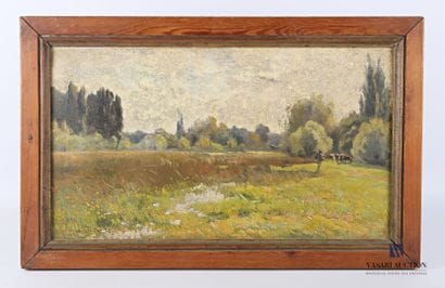 P.T. DOSK Raoul (1860-1937)

Bruges Marshes

Oil...