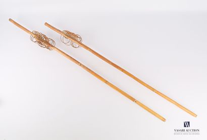 Set of two bamboo spiral cattails.

Probably...