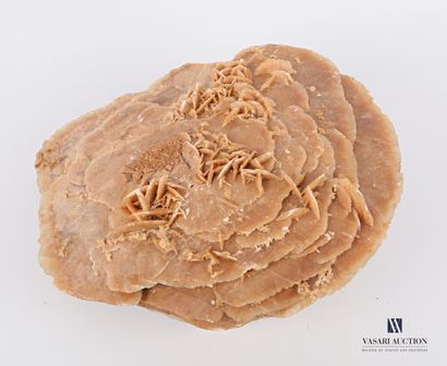 Rose des sables

Haut. : 8 cm - Larg. : 20...