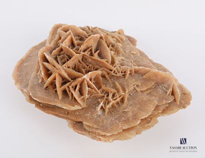 Rose des sables

Haut. : 8 cm - Larg. : 20...