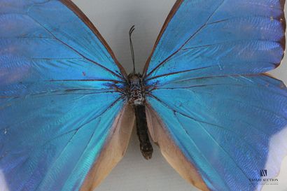 Cadre octogonal en verre à vue circulaire...