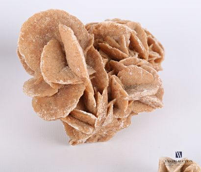 Ensemble de sept roses des sables

Diam....