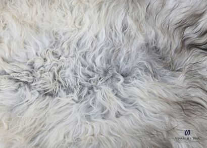 Peau de mouton islandais (Ovis aries, non...