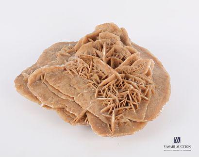 Rose des sables

Haut. : 8 cm - Larg. : 20...