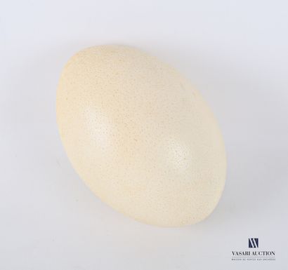 Oeuf de Nandou (Rhea americana, non réglementé)

Haut....