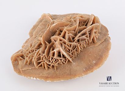 Rose des sables

Haut. : 8 cm - Larg. : 20...