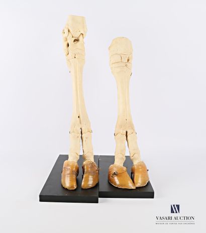 Ensemble comprenant une patte avant et une...