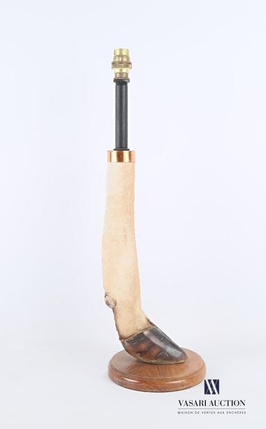 Pied de lampe en pied de biche (Cervus elaphus,...