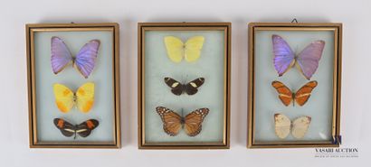 Ensemble de trois cadres rectangulaires contenant...