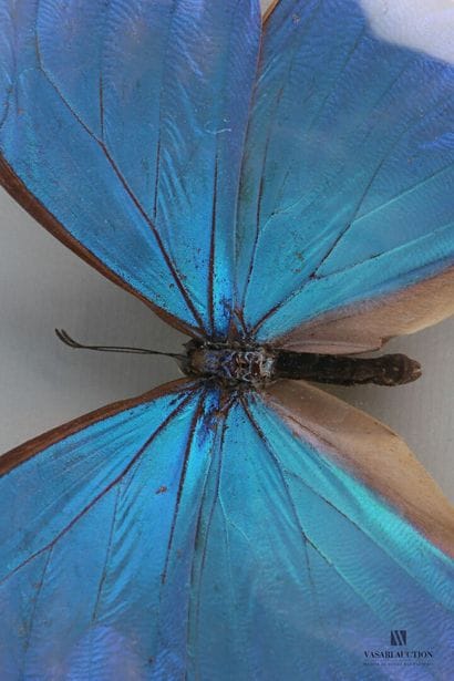 Cadre octogonal en verre à vue circulaire...