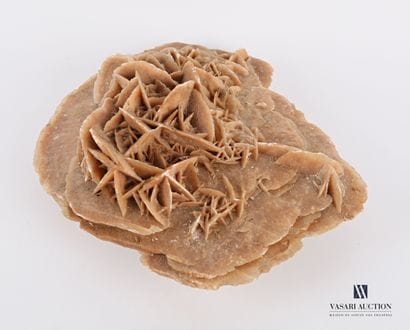 Rose des sables

Haut. : 8 cm - Larg. : 20...